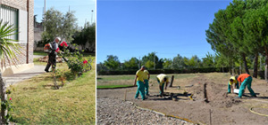 servicios de jardineria